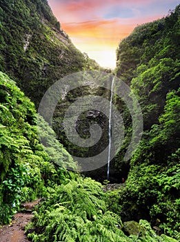 Hiking path with forest in Levada do Caldeirao Verde waterfall Trail - tropical scenery on Madeira island, Santana, Portugal photo