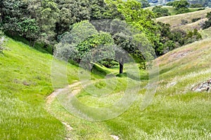 Hiking path in a green valley