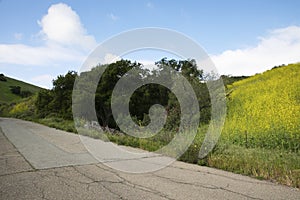 Hiking path in Irvine California