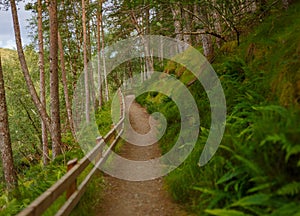 Hiking path leading along the Corrieshalloch Gorge photo