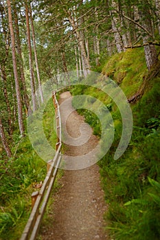 Hiking path leading along the Corrieshalloch Gorge photo