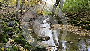 Hiking path through Maisinger Schlucht canyon in Bavaria Germany. small river flowing. Beech forest around.