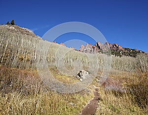 Hiking path in Maroon Bells Snowmass Wilderness, USA.