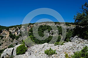 Hiking path in the mountain trekking trail in the woods