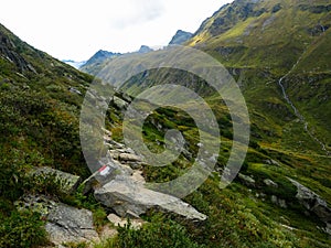 Hiking path in the Mountains