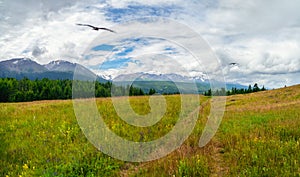 Hiking path through mountains. Trekking mountain trail. Atmospheric minimalist alpine landscape with grass footpath in highlands.