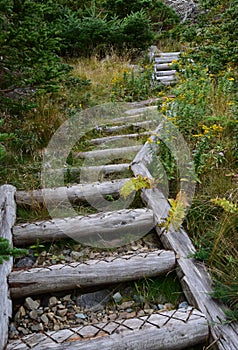 Hiking path outdoor staircase along the East Coast trai