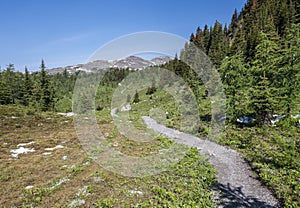 Hiking Path at Rock Isle Lake in Sunshine Meadows in the Rocky Mountains