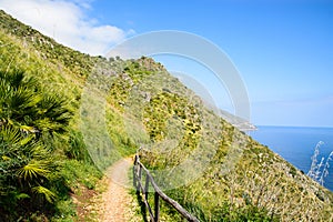 Hiking Path At Seaside