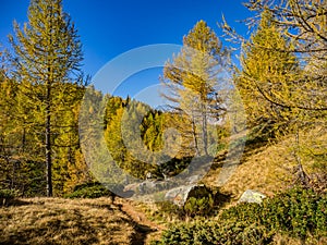 Hiking Path to Crampiolo in Alpe Veglia and Alpe Devero Natural Park