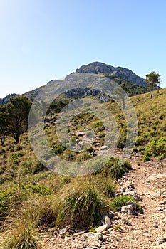 Hiking path to the mountain Puig de Galatzo in Majorca