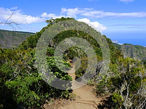 Hiking path to Roche Verre Bouteille and Cap Noir in the Reunion photo