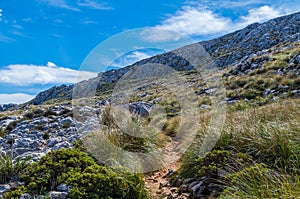 Hiking path in the Tramuntana on GR 221, Mallorca, Spain photo