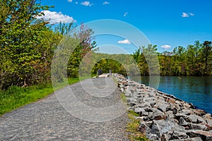 A Hiking Path in the Woods by the Manasquan Reservoir