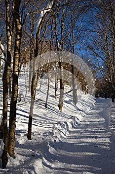 Hiking pathway at winter in Santo Stefano d`Aveto. Genoa province. Liguria. Italy