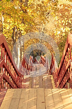 Hiking pathway wth wooden stairs in an autumn forest