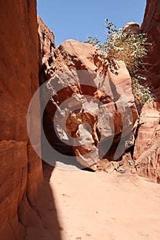 Hiking in Petra, path on the way to a viewpoint, Jordan