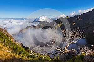 Hiking Pico Ruivo and Pico do Arierio - Madeira Portugal