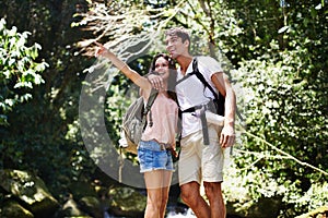 Hiking, pointing or happy couple hug in nature, forest or park on a trekking adventure on holiday. Man, woman or