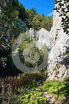 Pěší turistika v Prosiecku - Kvačianské dolině je o upravených chodnících, okolních skalách a jehličnatých stromech v lese.