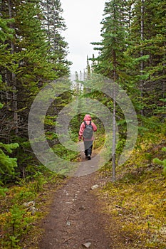 Hiking rainy autumn fall boreal forest taiga trail