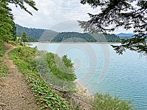 Hiking and recreational trails along Omladinsko Lake or bicycle paths around Lokvarsko Lake, Lokve - Croatia