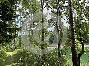 Hiking and recreational trails along Omladinsko Lake or bicycle paths around Lokvarsko Lake, Lokve - Croatia