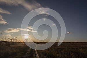 Hiking sandy dirt path at sunset in the Suboticka pescara, near the Serbia city of Subotica, in Vojvodina.