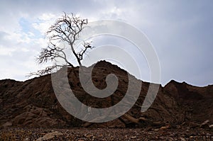 Hiking in Shehoret mountains South Israel