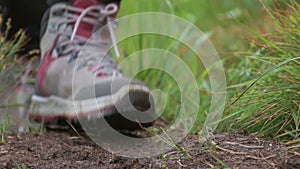 Hiking shoes