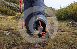 Hiking shoes in alpine environment