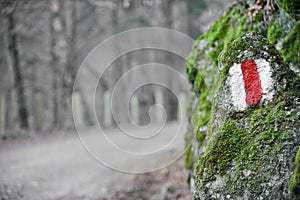 Hiking sign on a moss rock