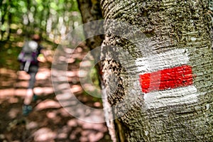 Žena při pohledu dalekohledem na krásné horské krajiny. Vrch Strážov, Slovensko