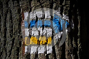 Hiking sign on a tree trunk. A sign that lines a hiking trail.