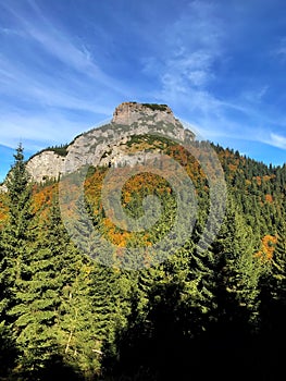 Mountain top in forest