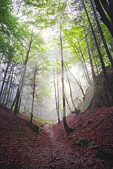 Turistika po slovenských horách. Pohled z kopců. Ostrá, Vrch tlsta, Velká Fatra. Slovensko.