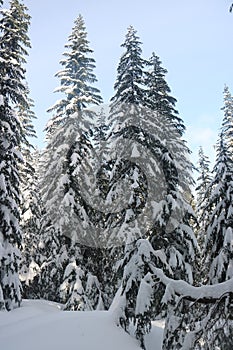 Hiking in the snow Canadian winter Vancouver