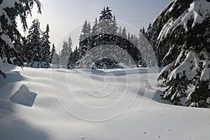 Hiking in the snow Canadian winter Vancouver