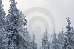 Hiking on Snowshoes in the Snowy Mountains