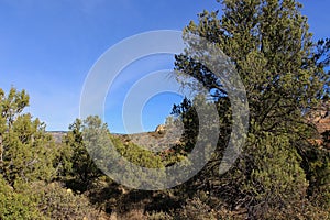 Hiking on Soldier\'s Pass Trail through the Cococino National Forest in Sedona, Arizona