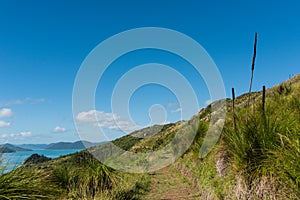 Hiking on South Molle Island, part of the Whitsunday Islands in Australia