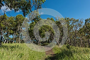 Hiking on South Molle Island, part of the Whitsunday Islands in Australia