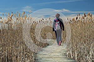 Hiking on a swamp