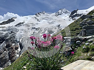 Hiking in Switzerland - arrival at the peak or summit