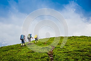 Hiking team in summer mountains