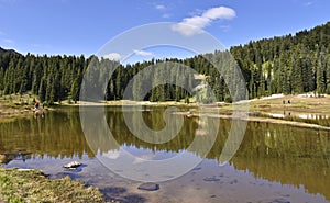 Hiking at Tipsoo Lake in Mt Rainier NP