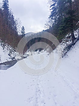 Hiking to Baiului peak in a winter day