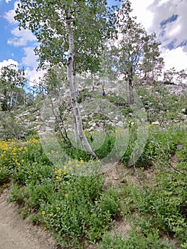 Hiking to Lake Mary, Brighton, Utah