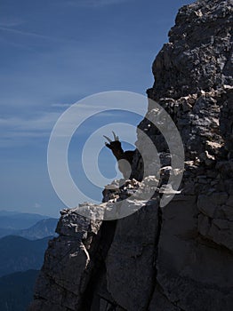 Hiking on the top of Terrarossa Mountain from Montasio