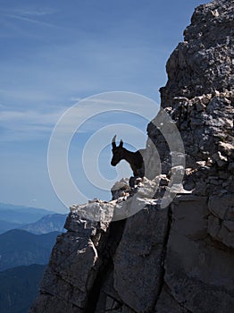 Hiking on the top of Terrarossa Mountain from Montasio